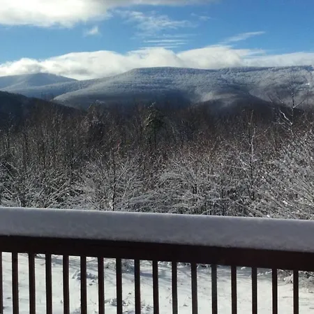 Beautiful Log Ski Cabin Belleayre Mtn Views